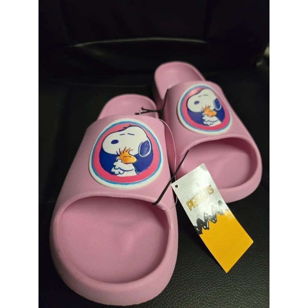 Peanuts Snoopy/Woodstock Slides
